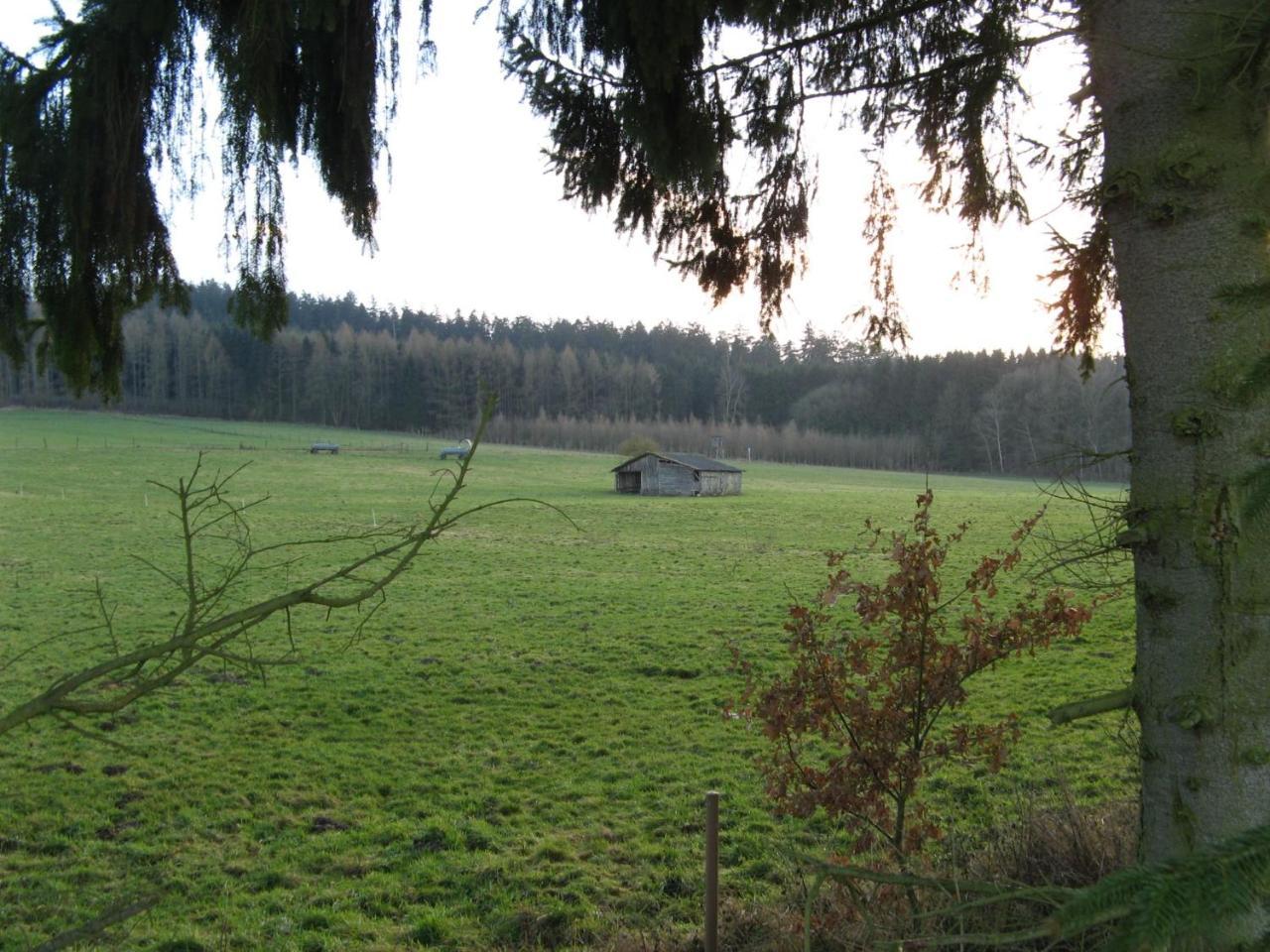 Ferienwohnung Prior Bad Emstal Kültér fotó